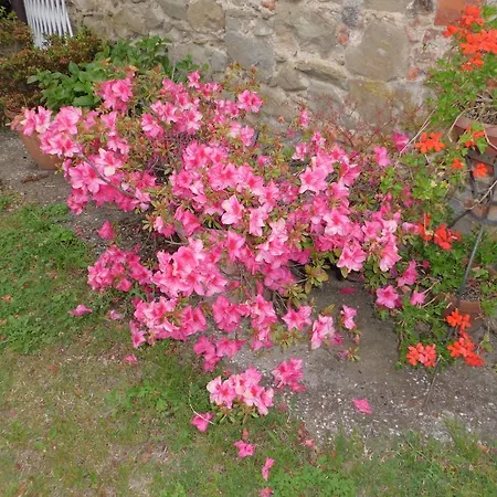 Bed & Breakfast Campomaggio Due