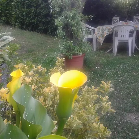 Bed & Breakfast Campomaggio Due *
