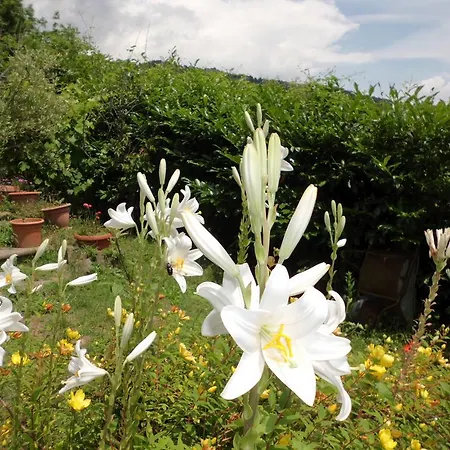 Campomaggio Due Bed & Breakfast *